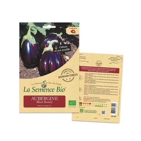 Graines Aubergine Black Beauty Bio La Semence Bio