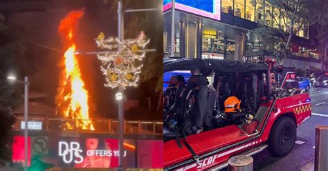 Design Orchard Christmas Tree Catches On Fire Mothership SG News