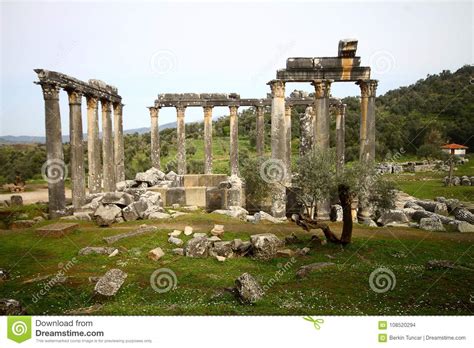 Euromos Temple Stock Photo Image Of Angle Milas Mylasa 108520294