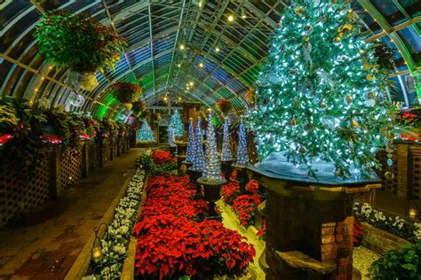 Winter Flower Show and Light Garden 2021: Holiday Magic! Sparkle and ...