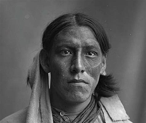 Pin on Turtle Island Indigenous People | Native american peoples ...