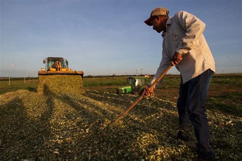 Geração de empregos cresce no setor de alimentos Máquinas e Inovações