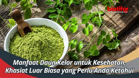 Manfaat Daun Balakacida Memahami Khasiat Yang Luar Biasa Biotifor