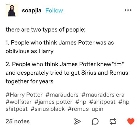 Pin By Livi S Mom On Harry Potter Harry Potter Headcannons Harry Potter Marauders Gay Harry