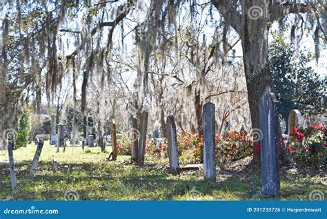 Row Of Headstones Magnolia Cemetery Editorial Photo Image Of Trees