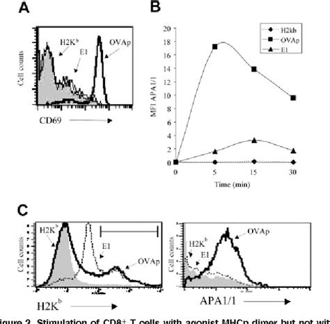 Figure From Ligand Induced Conformational Change In The T Cell