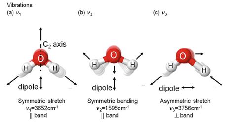 Different Vibrational Modes Of Water Molecule Note That In Parallel