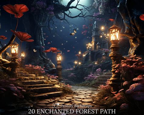 20 Enchanted Forest Path Digital Backdrops Bundle Enchanting - Etsy