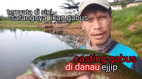 Ternyata Disini Sarangnya Ikan Gabus Casting Gabus Di Danau Youtube