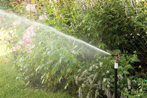 Top 10 Best Lawn Garden Sprinkler Heads in 2025 Reviews | Guide