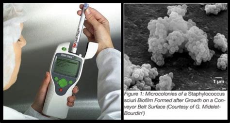 Validate Cleaning And Sanitation The Presence Of Adenosine