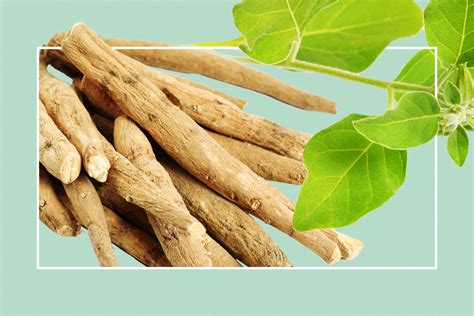 Ashwagandha Benefits Risks And Recipe Ideas