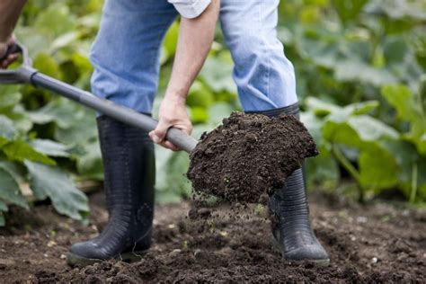 Easy Composting The Dig And Drop Method