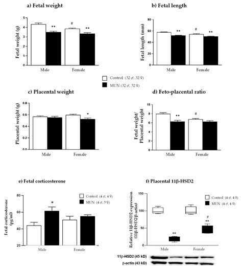 Ijms Free Full Text Sex Differences In Placental Protein Expression