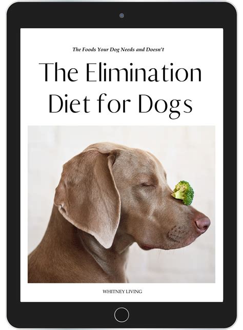 How a High Fat Diet for Dogs Can Boost Health