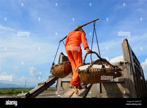 Cambodia, Kampot province, Kampot, salt fields, salt harves Stock Photo ...