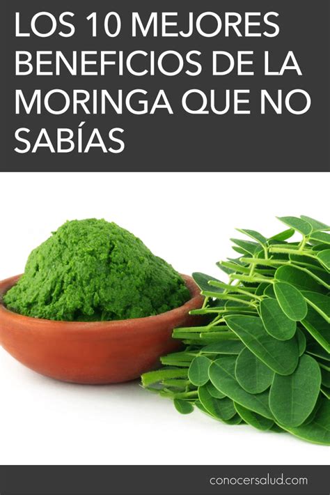 Los Mejores Beneficios De La Moringa Que No Sab As