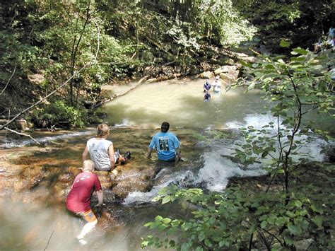 Washington Jefferson National Forests Reopening Some Trailheads