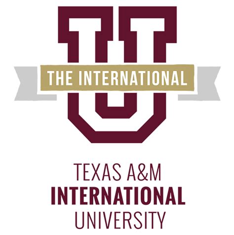 Tamiu What Is Health Informatics Mcwilliams School Of Biomedical