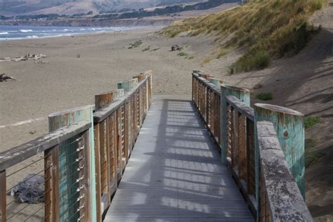 Bodega Dunes in Bodega Bay, CA - California Beaches