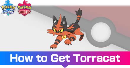 Torracat - Evolutions, Location, and Learnset | Pokemon Sword and ...