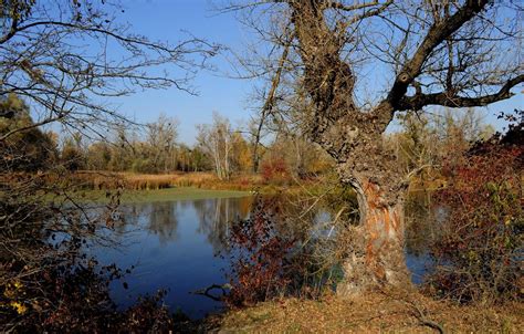 Autumn Pond Wallpapers - Wallpaper Cave