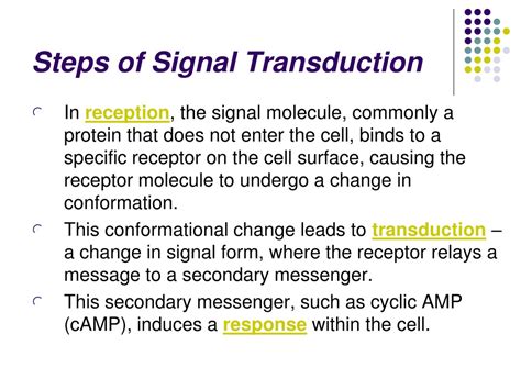 Ppt Cell Communication Signal Transduction Powerpoint Presentation