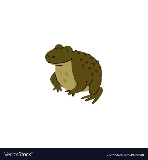 Green frog sitting Royalty Free Vector Image - VectorStock