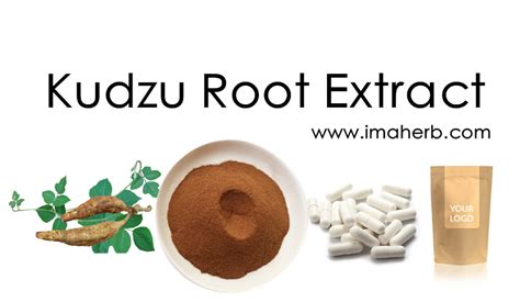 Kudzu Root Extract, Wild Kudzu Extract, Kudzu Root Powder, Puerarin ...