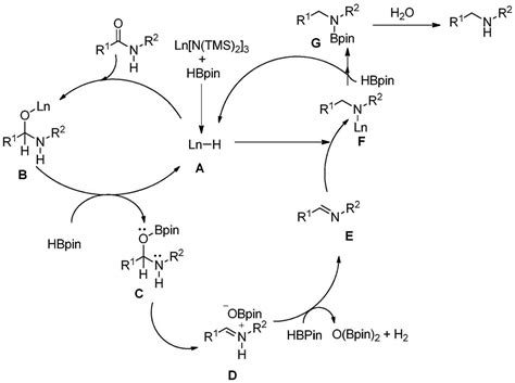 一种稀土催化合成的仲胺衍生物及其制备方法与流程 2