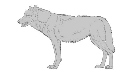 Standing Wolf Lineart Free Psd File By Chickenbusiness On Deviantart