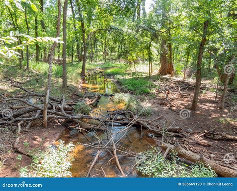 Sunny View Of The Lanscape Of Martin Nature Park Stock Image Image Of