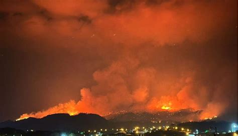 Alrededor de 39 000 hectáreas de bosques han sido afectadas por 839