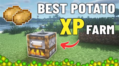 Easy Potato Xp Farm In Minecraft Java And Bedrock Youtube