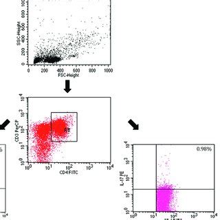 An Example Of A Color Flow Cytometry Analysis Of Lymphocytes From A