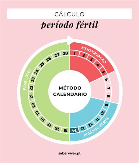 Como Contar O Período Fértil - Período fértil: aprenda a calculá-lo de forma eficaz e simples