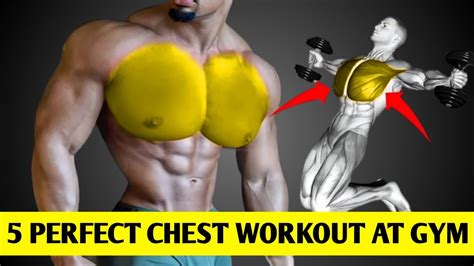 5 Perfect Chest Workout At Gym Youtube