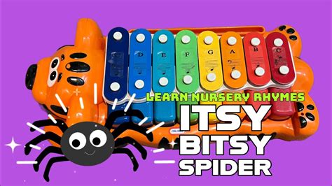 Itsy Bitsy Spider On Toy Piano Xylophone Learn English Words