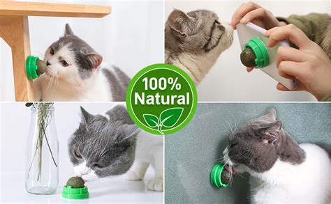 Amazon Potaroma Catnip Toys Balls Edible Kitten Silvervine