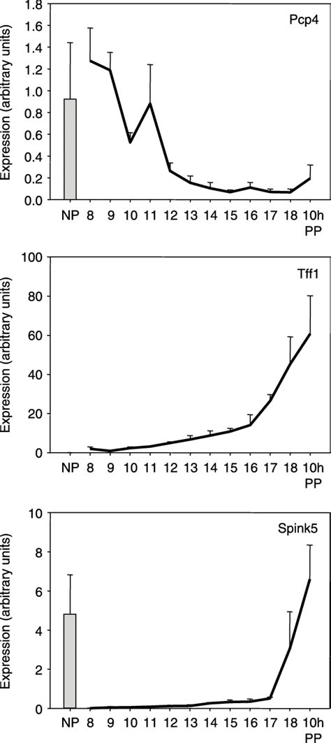 Expression Of Purkinje Cell Protein Pcp Upper Panel Trefoil