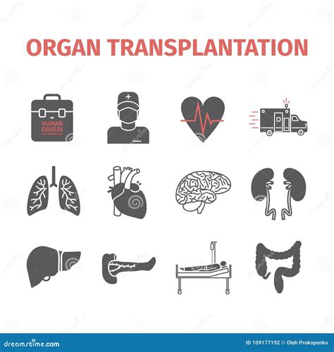 Organ Transplantation Icons Set Stock Vector Illustration Of