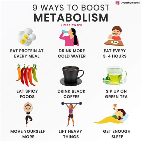 Metabolismo Rapido