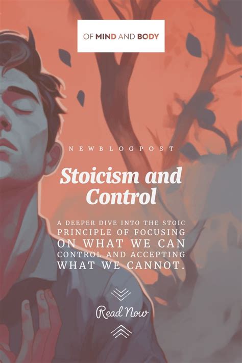 Stoicism And Control A Deeper Dive Into The Stoic Principle Of