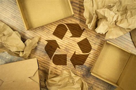 Sustainable Packaging For A Greener World ForestPackage Blog