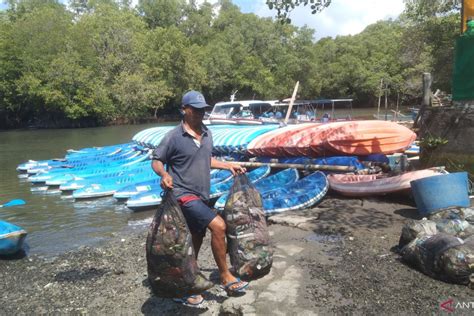 Sampah Plastik Yang Di Kumpulkan Nelayan Dari Mangrove Bali Bisa Capai