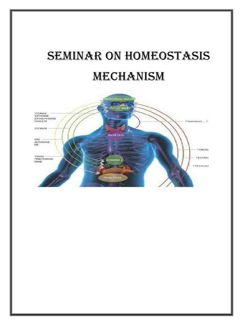 HOMEOSTASIS MECHANISM | PDF | Homeostasis | Human Body 