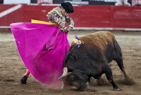 Lo Hacen Otra Vez Jueza Suspende Corridas De Toros En La Cdmx