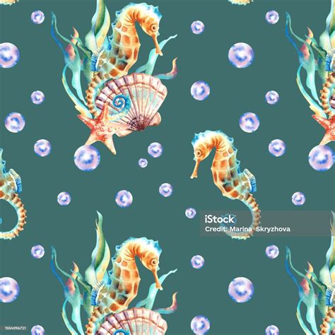 해양 동물의 원활한 패턴입니다 조개 해마 해초 불가사리 수채화 그림입니다 배경 콜라주 0명에 대한 스톡 벡터 아트 및 기타