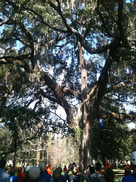 Tree Climbing Competition 2 | Sustainable Community Forestry