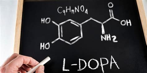How does L-Dopa help in Parkinson’s disease? - L-dopa